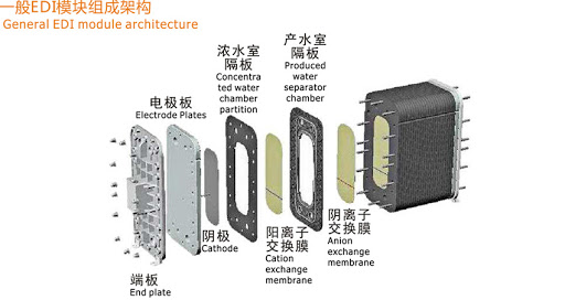 edi模塊的內部結構圖